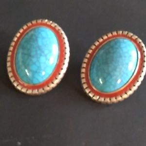 Pretty Turquoise earings
